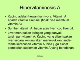 Hipervitaminosis A
• Kucing adalah hewan karnivora. Vitamin A
adalah vitamin esensial (tidak bisa membuat
vitamin A).
• Sumber vitamin A: hepar atau liver, cod liver oil.
• Liver merupakan jaringan yang banyak
tersimpan vitamin A. Kucing yang diberi pakan
liver secara kontinu akan menunjukkan tanda-
tanda keracunan vitamin A, bisa juga akibat
pemberian suplemen vitamin A yang berlebihan.
triakoso
 