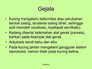 Gejala
• Kucing mengalami deformitas atau perubahan
bentuk tulang, terutama tulang leher, sehingga
sulit menoleh (scoliosis, myelopati servikalis).
• Kadang disertai kelemahan alat gerak (paresis),
bahkan pada keempat alat gerak.
• Ankylosis sendi bahu dan siku
• Pada kucing jantan mengalami gangguan sistem
reproduksi, namun tidak pada kucing betina.
triakoso
 