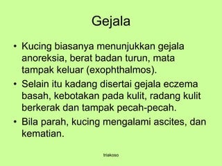 Gejala
• Kucing biasanya menunjukkan gejala
anoreksia, berat badan turun, mata
tampak keluar (exophthalmos).
• Selain itu kadang disertai gejala eczema
basah, kebotakan pada kulit, radang kulit
berkerak dan tampak pecah-pecah.
• Bila parah, kucing mengalami ascites, dan
kematian.
triakoso
 