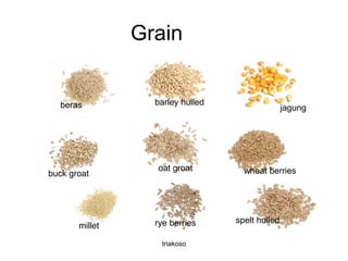 Grain
jagung
buck groat
barley hulled
wheat berries
spelt hulledrye berries
beras
oat groat
millet
triakoso
 