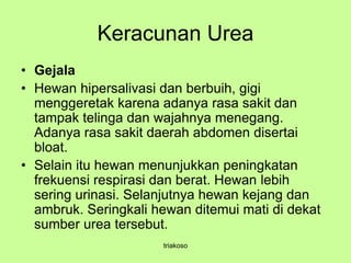 Keracunan Urea
• Gejala
• Hewan hipersalivasi dan berbuih, gigi
menggeretak karena adanya rasa sakit dan
tampak telinga dan wajahnya menegang.
Adanya rasa sakit daerah abdomen disertai
bloat.
• Selain itu hewan menunjukkan peningkatan
frekuensi respirasi dan berat. Hewan lebih
sering urinasi. Selanjutnya hewan kejang dan
ambruk. Seringkali hewan ditemui mati di dekat
sumber urea tersebut.
triakoso
 