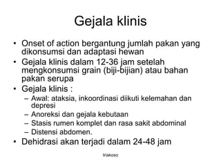 Gejala klinis
• Onset of action bergantung jumlah pakan yang
dikonsumsi dan adaptasi hewan
• Gejala klinis dalam 12-36 jam setelah
mengkonsumsi grain (biji-bijian) atau bahan
pakan serupa
• Gejala klinis :
– Awal: ataksia, inkoordinasi diikuti kelemahan dan
depresi
– Anoreksi dan gejala kebutaan
– Stasis rumen komplet dan rasa sakit abdominal
– Distensi abdomen.
• Dehidrasi akan terjadi dalam 24-48 jam
triakoso
 
