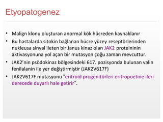 Page  7
Etyopatogenez
• Malign klonu oluşturan anormal kök hücreden kaynaklanır
• Bu hastalarda sitokin bağlanan hücre yüzey reseptörlerinden
nukleusa sinyal ileten bir Janus kinaz olan JAK2 proteininin
aktivasyonuna yol açan bir mutasyon çoğu zaman mevcuttur.
• JAK2’nin psödokinaz bölgesindeki 617. pozisyonda bulunan valin
fenilalanin ile yer değiştirmiştir (JAK2V617F)
• JAK2V617F mutasyonu “eritroid progenitörleri eritropoetine ileri
derecede duyarlı hale getirir”.
 