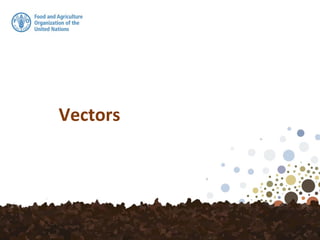 Vectors
 