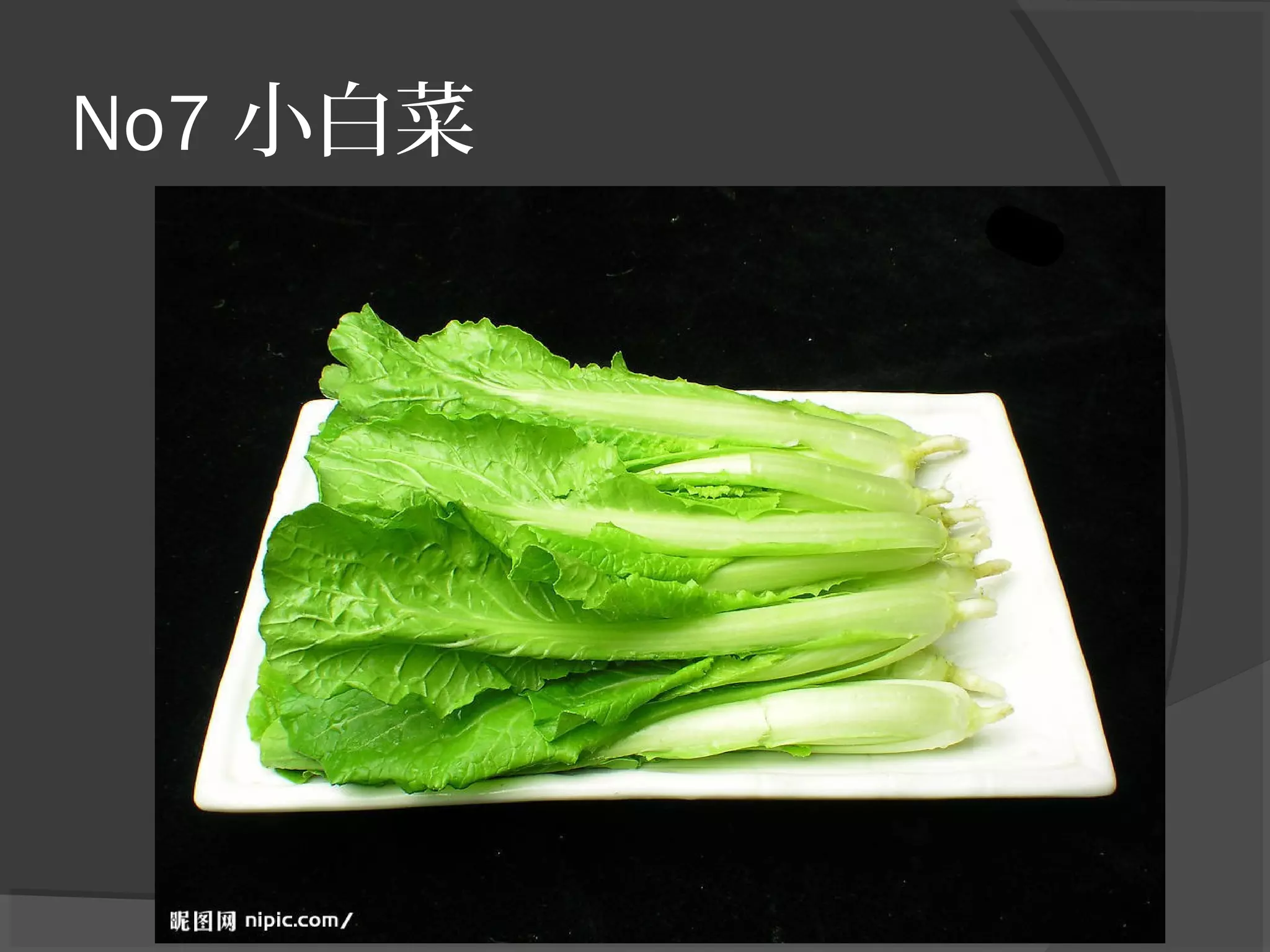 No7 小白菜
 