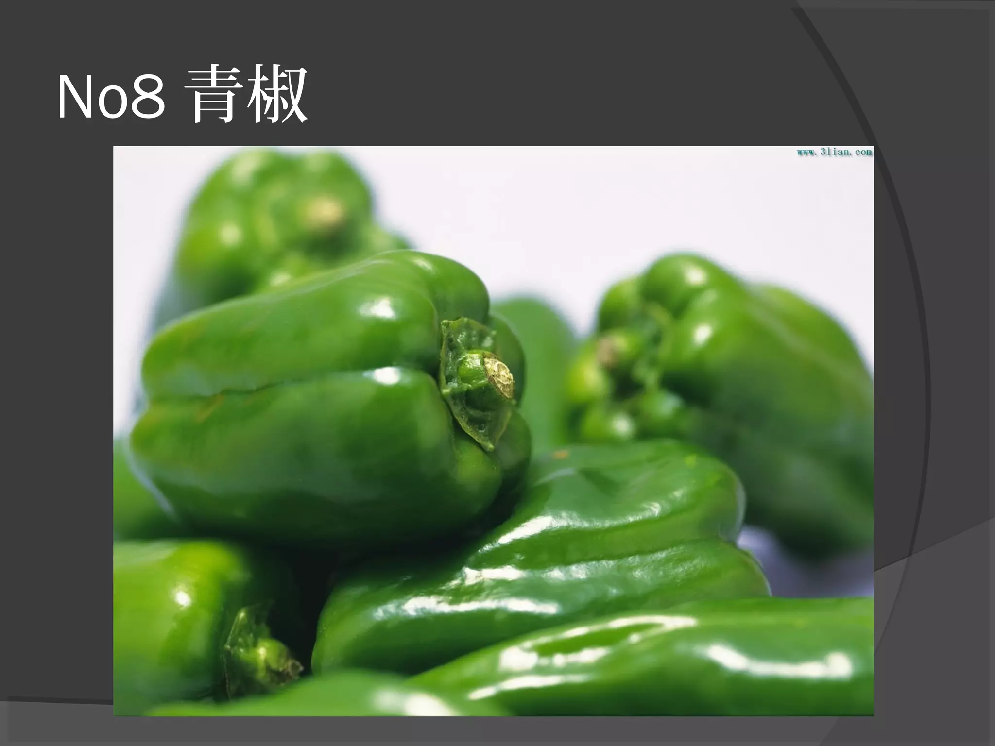 No8 青椒
 
