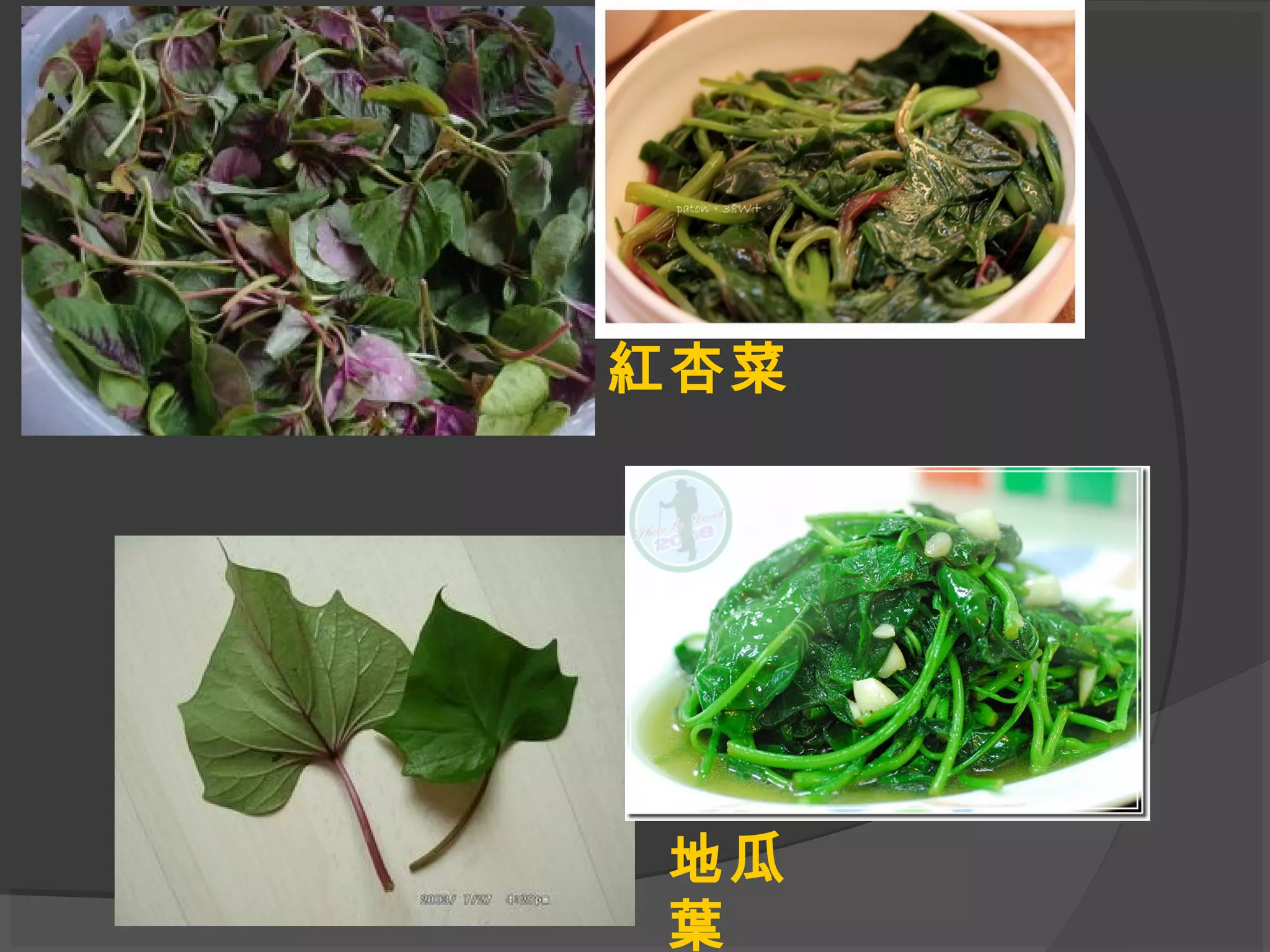 紅杏菜
地瓜
葉
 