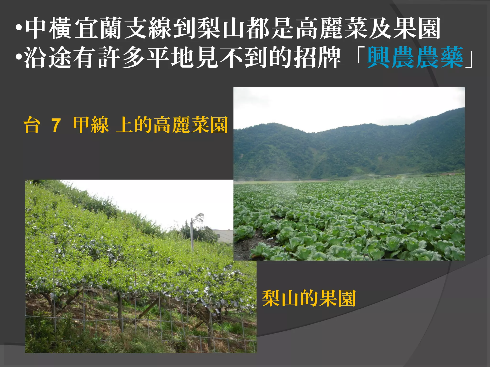 台 7 甲線 上的高麗菜園
梨山的果園
•中 宜蘭支線到梨山都是高麗菜及果園橫
•沿途有許多平地見不到的招牌「興農農藥」
 