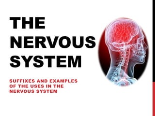 THE
NERVOUS
SYSTEM
SUFFIXES AND EXAMPLES
OF THE USES IN THE
NERVOUS SYSTEM
 