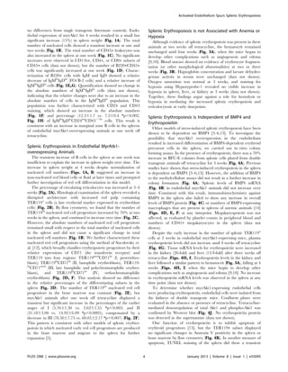 no differences from single transgenic littermate controls. Endo-
thelial expression of myrAkt1 for 4 weeks resulted in a small but
significant increase (15%) in spleen weight (Fig. 1A). The total
number of nucleated cells showed a transient increase at one and
two weeks (Fig. 1B). The total number of CD45+ leukocytes was
also increased in the spleen at one week (Fig. 1C). No significant
increases were observed in CD11b+, CD4+, or CD8+ subsets of
CD45+ cells (data not shown), but the number of B220+CD45+
cells was significantly increased at one week (Fig. 1D). Charac-
terization of B220+ cells with IgM and IgD showed a relative
decrease of IgMlo
IgDhi
(FO/B-2 cells) and a relative increase of
IgMhi
IgDlo
cells (Fig. 1E,G). Quantification showed no change in
the absolute numbers of IgMlo
IgDhi
cells (data not shown),
indicating that the relative changes were due to an increase in the
absolute number of cells in the IgMhi
IgDlo
population. This
population was further characterized with CD24 and CD43
staining, which showed an increase in the absolute numbers
(Fig. 1F) and percentage (12.361.7 vs. 7.260.4 *p,0.002,
Fig. 1H) of IgMhi
IgDlo
CD24int
CD432/lo
cells. This result is
consistent with an increase in marginal zone B cells in the spleens
of endothelial myrAkt1-overexpressing animals at one week off
tetracycline.
Splenic Erythropoiesis in Endothelial MyrAtk1-
overexpressing Animals
The transient increase of B cells in the spleen at one week was
insufficient to explain the increase in spleen weight over time. The
increase in spleen weight at 4 weeks despite normalization of
nucleated cell numbers (Figs. 1A, B) suggested an increase in
non-nucleated red blood cells or fluid at later times and prompted
further investigation of red cell differentiation in this model.
The percentage of circulating reticulocytes was increased at 3–4
weeks (Fig. 2A). Histological examination of the spleen revealed a
disrupted architecture with increased red pulp containing
TER119+
cells (a late erythroid marker expressed in erythroblast
cells) (Fig. 2B). By flow cytometry, we found that the number of
TER119hi
nucleated red cell progenitors increased by 70% at two
weeks in the spleen, and continued to increase over time (Fig. 2C).
However, the absolute numbers of nucleated red cell progenitors
remained small with respect to the total number of nucleated cells
in the spleen and did not cause a significant change in total
nucleated cell numbers (Fig. 1B). We further characterized these
nucleated red cell progenitors using the method of Socolovsky et.
al. [12], which broadly classifies erythropoietic progenitors by their
relative expressions of CD71 (the transferrin receptor) and
TER119 into four regions: TER119med
CD71hi
(I, proerythro-
blasts); TER119hi
CD71hi
(II, basophilic erythroblasts), TER119-
hi
CD71med
(III, late basophilic and polychromatophilic erythro-
blasts), and TER119hi
CD71lo
(IV, orthochromatophilic
erythroblasts) (Fig. 2D, F). This analysis showed no difference
in the relative percentages of the differentiating subsets in the
spleen (Fig. 2D). The number of TER119hi
nucleated red cell
progenitors in the bone marrow was constant (Fig. 2E), but
myrAkt1 animals after one week off tetracycline displayed a
transient but significant increase in the percentages of the earlier
stages of I (5.7661.30 vs. 2.6261.55 *p,0.005) and II
(31.1863.00 vs. 14.9266.09 *p,0.0005), compensated by a
decrease in III (78.5067.73 vs. 60.0562.17 *p,0.007) (Fig. 2F).
This pattern is consistent with other models of splenic erythro-
poiesis in which nucleated early red cell progenitors are produced
in the bone marrow and migrate to the spleen for further
expansion [5].
Splenic Erythropoiesis is not Associated with Anemia or
Hypoxia
Although evidence of splenic erythropoiesis was present in these
animals at two weeks off tetracycline, the hematocrit remained
unchanged until four weeks (Fig. 3A), when the mice began to
develop other complications such as angiogenesis and edema
[9,10]. Blood smears showed no evidence of erythrocyte fragmen-
tation (or other morphological abnormalities) at two or three
weeks (Fig. 3B). Haptoglobin concentration and lactate dehydro-
genase activity in serum were unchanged (data not shown).
Oxygen saturation was normal at 3 weeks, and staining for
hypoxia using Hypoxyprobe-1 revealed no visible increase in
hypoxia in spleen, liver, or kidney at 3 weeks (data not shown).
Together, these findings argue against a role for hemolysis or
hypoxia in mediating the increased splenic erythropoiesis and
reticulocytosis at early timepoints.
Splenic Erythropoiesis is Independent of BMP4 and
Erythropoieitin
Other models of stress-induced splenic erythropoiesis have been
shown to be dependent on BMP4 [3–6,13]. To investigate the
possibility that myrAkt1 overexpression in the endothelium
resulted in increased differentiation of BMP4-dependent erythroid
precursor cells in the spleen, we carried out in vitro colony
forming assays. In the presence of erythropoietin, there was a 70%
increase in BFU-E colonies from splenic cells plated from double
transgenic animals off tetracycline for 3 weeks (Fig. 4A). Previous
studies have shown that stress-induced erythropoiesis in the spleen
is dependent on BMP4 [3–6,13]. However, the addition of BMP4
to the methylcellulose assays did not result in a further increase in
colony formation (Fig. 4A). Splenic levels of BMP4 mRNA
(Fig. 4B) in endothelial myrAkt1 animals did not increase over
time. Consistent with this result, immunohistochemistry against
BMP4 in the spleen also failed to show any increase in overall
levels of BMP4 protein (Fig. 4C) or numbers of BMP4-expressing
macrophages that are present in spleens of anemic animals [14]
(Figs. 4D, E, F) at any timepoint. Megakaryopoiesis was not
affected, as evaluated by platelet counts in peripheral blood and
numbers of CD41+ megakaryocytes in the spleen (data not
shown).
Despite the early increase in the number of splenic TER119+
cells at 2 weeks in endothelial myrAkt1-expressing mice, plasma
erythropoietin levels did not increase until 4 weeks off tetracycline
(Fig. 4G). Tissue mRNA levels for erythropoietin were increased
in the kidney (26-fold) and liver (13.9-fold) after three weeks off
tetracycline (Figs. 4H, I). Erythropoietin levels in the kidney and
liver followed a similar pattern to hematocrit (Fig. 3A), falling at 4
weeks (Figs. 4H, I) when the mice begin to develop other
complications such as angiogenesis and edema [9,10]. No increase
in erythropoietin mRNA levels was observed in the spleen at any
time point (data not shown).
To determine whether myrAkt1-expressing endothelial cells
were producing erythropoietin, endothelial cells were isolated from
the kidneys of double transgenic mice. Confluent plates were
evaluated in the absence or presence of tetracycline. Tetracycline-
mediated downregulation of total Akt1 and phospho-Akt1 was
confirmed by Western blot (Fig. 4J). No erythropoietin protein
was detected in the supernatants (data not shown).
One function of erythropoietin is to inhibit apoptosis of
erythroid progenitors [15], but the TER119+ subset displayed
no significant changes in Annexin V positivity in the spleen or
bone marrow by flow cytometry (Fig. 4K). In another measure of
apoptosis, TUNEL staining of the spleen did show a transient
Activated Endothelium Spurs Splenic Erythropoiesis
PLOS ONE | www.plosone.org 4 January 2013 | Volume 8 | Issue 1 | e55095
 