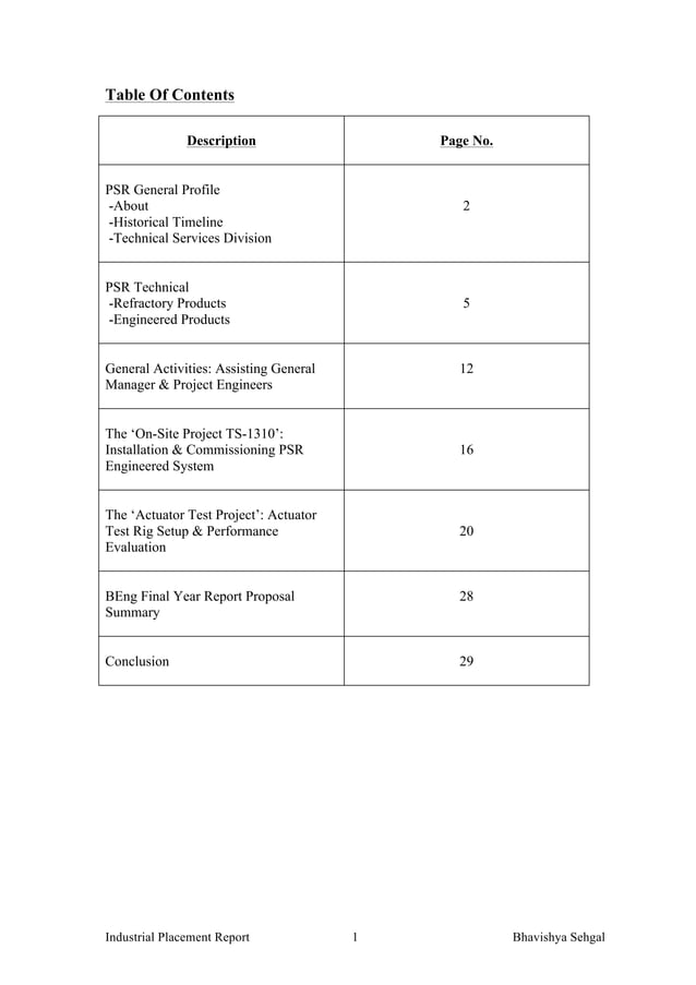 Industrial Placement Report | PDF