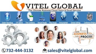 732-444-3132 sales@vitelglobal.com
 