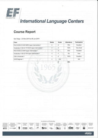 Language Diploma 3