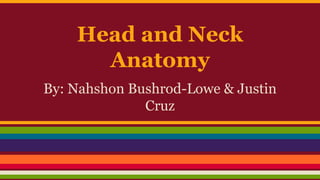 Head and Neck
Anatomy
By: Nahshon Bushrod-Lowe & Justin
Cruz
 