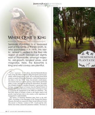 JUL/AUG 2015 • DESIGN&BUILD MAGAZINE22
O
InspiringPlacesBeautifulSpaces
Where Quail is King
Our caravan is traveling down the Monticello-Boston
road, a long, flat ribbon of asphalt cutting through the sparsely pop-
ulated, south Georgia piney woods. We are passing picture-book
scenery in search of Seminole Plantation, a quail hunting preserve
that dates to the late 1850s. Today, the privately owned planta-
tion remains intact as a country getaway, where family and friends
gather to relax and enjoy the sporting life. Bryan Knox, the grand-
son of Rankin Smith, Sr. considers Seminole a special part of his
heritage, earning a degree in Forestry from the Warnell School of
Forestry and Natural Resources at University of Georgia to assist
in overseeing the management of the 9000 acre plantation. The
Red Hills region of Georgia is home to the largest stand of old
growth, long leaf pine trees in the country, so the importance of
management is understandable.
The history of Seminole Plantation dates back to the mid-
1800’s. According to Ann Harrington of the Thomasville History
Museum, the land was acquired by Major Josiah Jefferson Everitt,
who moved to Thomas County in 1839. Everitt and his wife,
Harriet Ann Archer, named their plantation Ashland. The house is
Seminole Plantation is a treasured
part of the family of Rankin Smith, Sr.
who purchased it in 1979. This idyl-
lic retreat is nestled in the Red Hills
region of south Georgia just slightly
east of Thomasville, amongst majes-
tic, old-growth, longleaf pines, and
magnolias. Here, the Bobwhite is
king and wild coveys are plentiful.
 