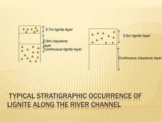 TYPICAL STRATIGRAPHIC OCCURRENCE OF
LIGNITE ALONG THE RIVER CHANNEL
0.7m lignite layer
0.8m claystone
layer
Continuous lignite layer
0.6m lignite layer
Continuous claystone layer
 