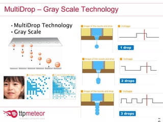 MultiDrop – Gray Scale Technology
3
• MultiDrop Technology
• Gray Scale
 