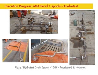 MEG Primary Injection Project | PDF