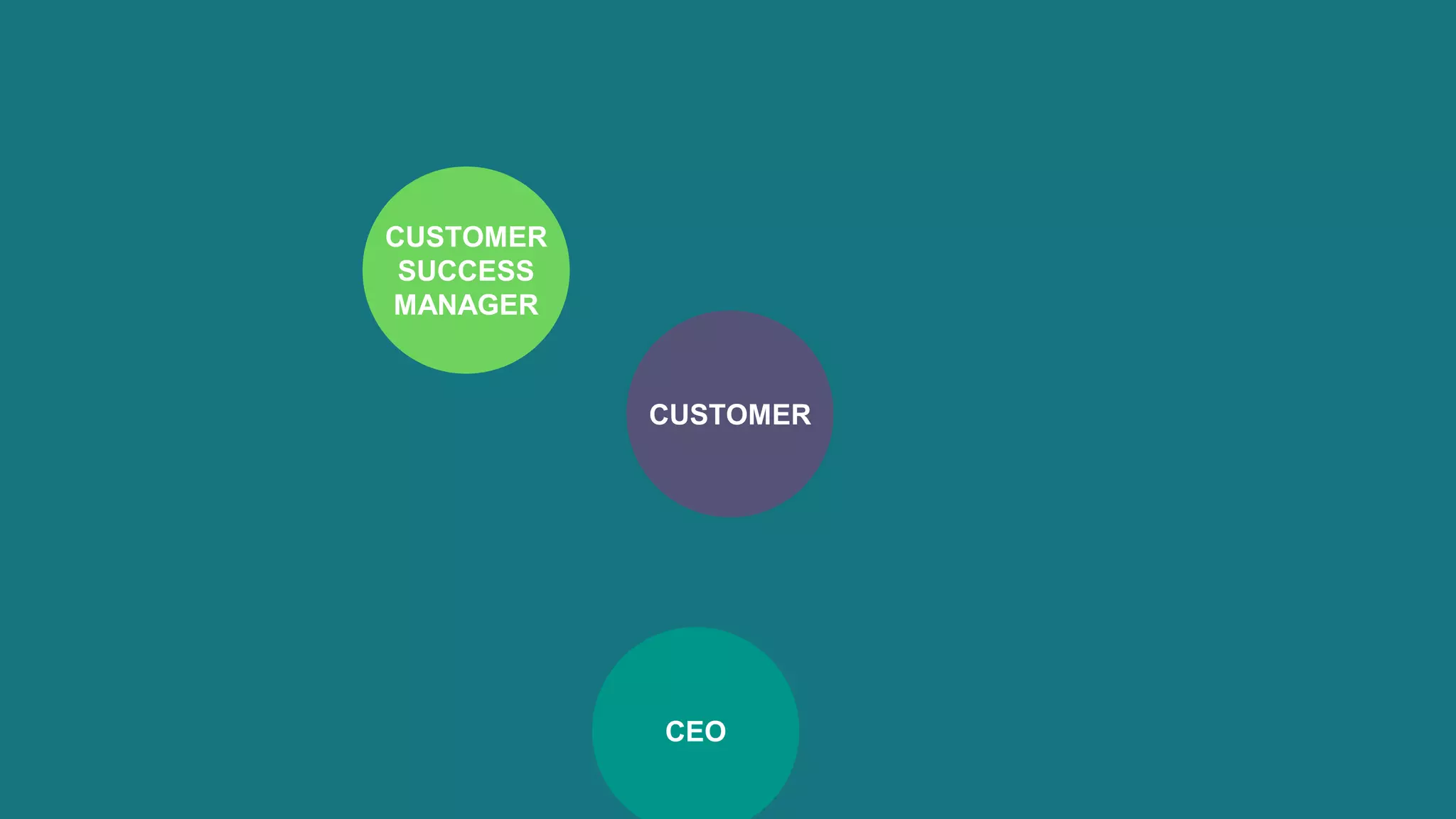 CUSTOMER
CEO
CUSTOMER
SUCCESS
MANAGER