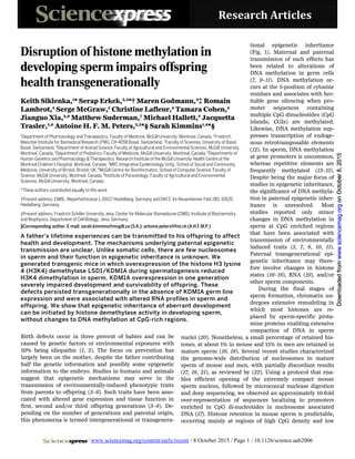 Research Articles
Birth defects occur in three percent of babies and can be
caused by genetic factors or environmental exposures with
50% being idiopathic (1, 2). The focus on prevention has
largely been on the mother, despite the father contributing
half the genetic information and possibly some epigenetic
information to the embryo. Studies in humans and animals
suggest that epigenetic mechanisms may serve in the
transmission of environmentally-induced phenotypic traits
from parents to offspring (3–8). Such traits have been asso-
ciated with altered gene expression and tissue function in
first, second and/or third offspring generations (3–8). De-
pending on the number of generations and parental origin,
this phenomena is termed intergenerational or transgenera-
tional epigenetic inheritance
(Fig. 1). Maternal and paternal
transmission of such effects has
been related to alterations of
DNA methylation in germ cells
(7, 9–11). DNA methylation oc-
curs at the 5-position of cytosine
residues and associates with her-
itable gene silencing when pro-
moter sequences containing
multiple CpG dinucleotides (CpG
islands; CGIs) are methylated.
Likewise, DNA methylation sup-
presses transcription of endoge-
nous retrotransposable elements
(12). In sperm, DNA methylation
at gene promoters is uncommon,
whereas repetitive elements are
frequently methylated (13–15).
Despite being the major focus of
studies in epigenetic inheritance,
the significance of DNA methyla-
tion in paternal epigenetic inher-
itance is unresolved. Most
studies reported only minor
changes in DNA methylation in
sperm at CpG enriched regions
that have been associated with
transmission of environmentally
induced traits (5, 7, 8, 10, 11).
Paternal transgenerational epi-
genetic inheritance may there-
fore involve changes in histone
states (16–18), RNA (19), and/or
other sperm components.
During the final stages of
sperm formation, chromatin un-
dergoes extensive remodeling in
which most histones are re-
placed by sperm-specific prota-
mine proteins enabling extensive
compaction of DNA in sperm
nuclei (20). Nonetheless, a small percentage of retained his-
tones, at about 1% in mouse and 15% in men are retained in
mature sperm (16, 18). Several recent studies characterized
the genome-wide distribution of nucleosomes in mature
sperm of mouse and men, with partially discordant results
(17, 18, 21), as reviewed by (22). Using a protocol that ena-
bles efficient opening of the extremely compact mouse
sperm nucleus, followed by micrococcal nuclease digestion
and deep sequencing, we observed an approximately 10-fold
over-representation of sequences localizing to promoters
enriched in CpG di-nucleotides in nucleosome associated
DNA (17). Histone retention in mouse sperm is predictable,
occurring mainly at regions of high CpG density and low
Disruption of histone methylation in
developing sperm impairs offspring
health transgenerationally
Keith Siklenka,1
* Serap Erkek,2,3
*† Maren Godmann,4
‡ Romain
Lambrot,4
Serge McGraw,5
Christine Lafleur,4
Tamara Cohen,4
Jianguo Xia,4,9
Matthew Suderman,7
Michael Hallett,8
Jacquetta
Trasler,5,6
Antoine H. F. M. Peters,2,3
*§ Sarah Kimmins1,4
*§
1
Department of Pharmacology and Therapeutics, Faculty of Medicine, McGill University, Montreal, Canada. 2
Friedrich
Miescher Institute for Biomedical Research (FMI), CH-4058 Basel, Switzerland. 3
Faculty of Sciences, University of Basel,
Basel, Switzerland. 4
Department of Animal Science, Faculty of Agricultural and Environmental Sciences, McGill University,
Montreal, Canada. 5
Department of Pediatrics, Faculty of Medicine, McGill University, Montreal, Canada. 6
Departments of
Human Genetics and Pharmacology & Therapeutics; Research Institute of the McGill University Health Centre at the
Montreal Children's Hospital, Montreal, Canada. 7
MRC Integrative Epidemiology Unity, School of Social and Community
Medicine, University of Bristol, Bristol, UK. 8
McGill Centre for Bioinformatics, School of Computer Science, Faculty of
Science, McGill University, Montreal, Canada. 9
Institute of Parasitology, Faculty of Agricultural and Environmental
Sciences, McGill University, Montreal, Canada.
*These authors contributed equally to this work.
†Present address: EMBL, Meyerhofstrasse 1, 69117 Heidelberg, Germany and DKFZ, Im Neuenheimer Feld 280, 69120
Heidelberg, Germany.
‡Present address: Friedrich Schiller University Jena, Center for Molecular Biomedicine (CMB), Institute of Biochemistry
and Biophysics, Department of Cell Biology, Jena, Germany.
§Corresponding author. E-mail: sarah.kimmins@mcgill.ca (S.K.); antoine.peters@fmi.ch (A.H.F.M.P.)
A father’s lifetime experiences can be transmitted to his offspring to affect
health and development. The mechanisms underlying paternal epigenetic
transmission are unclear. Unlike somatic cells, there are few nucleosomes
in sperm and their function in epigenetic inheritance is unknown. We
generated transgenic mice in which overexpression of the histone H3 lysine
4 (H3K4) demethylase LSD1/KDM1A during spermatogenesis reduced
H3K4 dimethylation in sperm. KDM1A overexpression in one generation
severely impaired development and survivability of offspring. These
defects persisted transgenerationally in the absence of KDM1A germ line
expression and were associated with altered RNA profiles in sperm and
offspring. We show that epigenetic inheritance of aberrant development
can be initiated by histone demethylase activity in developing sperm,
without changes to DNA methylation at CpG-rich regions.
/ www.sciencemag.org/content/early/recent / 8 October 2015 / Page 1 / 10.1126/science.aab2006
onOctober8,2015www.sciencemag.orgDownloadedfromonOctober8,2015www.sciencemag.orgDownloadedfromonOctober8,2015www.sciencemag.orgDownloadedfromonOctober8,2015www.sciencemag.orgDownloadedfromonOctober8,2015www.sciencemag.orgDownloadedfromonOctober8,2015www.sciencemag.orgDownloadedfromonOctober8,2015www.sciencemag.orgDownloadedfromonOctober8,2015www.sciencemag.orgDownloadedfromonOctober8,2015www.sciencemag.orgDownloadedfromonOctober8,2015www.sciencemag.orgDownloadedfromonOctober8,2015www.sciencemag.orgDownloadedfromonOctober8,2015www.sciencemag.orgDownloadedfromonOctober8,2015www.sciencemag.orgDownloadedfromonOctober8,2015www.sciencemag.orgDownloadedfromonOctober8,2015www.sciencemag.orgDownloadedfromonOctober8,2015www.sciencemag.orgDownloadedfromonOctober8,2015www.sciencemag.orgDownloadedfromonOctober8,2015www.sciencemag.orgDownloadedfromonOctober8,2015www.sciencemag.orgDownloadedfromonOctober8,2015www.sciencemag.orgDownloadedfromonOctober8,2015www.sciencemag.orgDownloadedfromonOctober8,2015www.sciencemag.orgDownloadedfrom
 