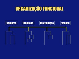 ComprasCompras ProduçãoProdução DistribuiçãoDistribuição VendasVendas
ORGANIZAÇÃO FUNCIONAL
 
