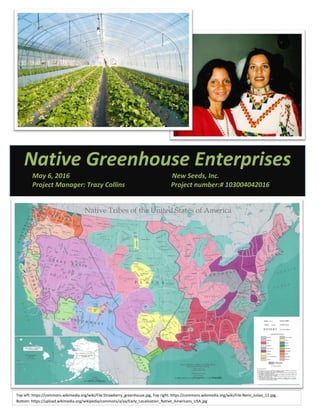 1
Native Greenhouse Enterprises
May 6, 2016 New Seeds, Inc.
Project Manager: Trazy Collins Project number:# 103004042016
Native Tribes of the United States of America
Top left: https://commons.wikimedia.org/wiki/File:Strawberry_greenhouse.jpg, Top right: https://commons.wikimedia.org/wiki/File:Neris_Juliao_12.jpg,
Bottom: https://upload.wikimedia.org/wikipedia/commons/a/aa/Early_Localization_Native_Americans_USA.jpg
 