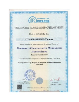 Diploma Vianney Bachelors