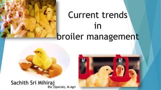 Current trends
in
broiler management
Sachith Sri Mihiraj
BSc (Special), M.Agri
 