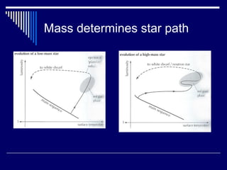 Mass determines star path
 