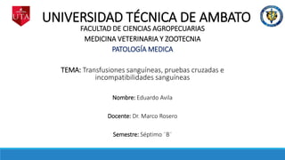 UNIVERSIDAD TÉCNICA DE AMBATO
FACULTAD DE CIENCIAS AGROPECUARIAS
MEDICINA VETERINARIA Y ZOOTECNIA
PATOLOGÍA MEDICA
TEMA: Transfusiones sanguíneas, pruebas cruzadas e
incompatibilidades sanguíneas
Nombre: Eduardo Avila
Docente: Dr. Marco Rosero
Semestre: Séptimo ¨B¨
 