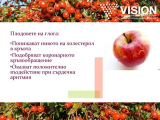 Плодовете на глога: Понижават нивото на холестерол в кръвта Подобряват коронарното кръвообращение Оказват положително въздействие при сърдечна аритмия 