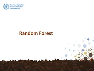 Random Forest
 