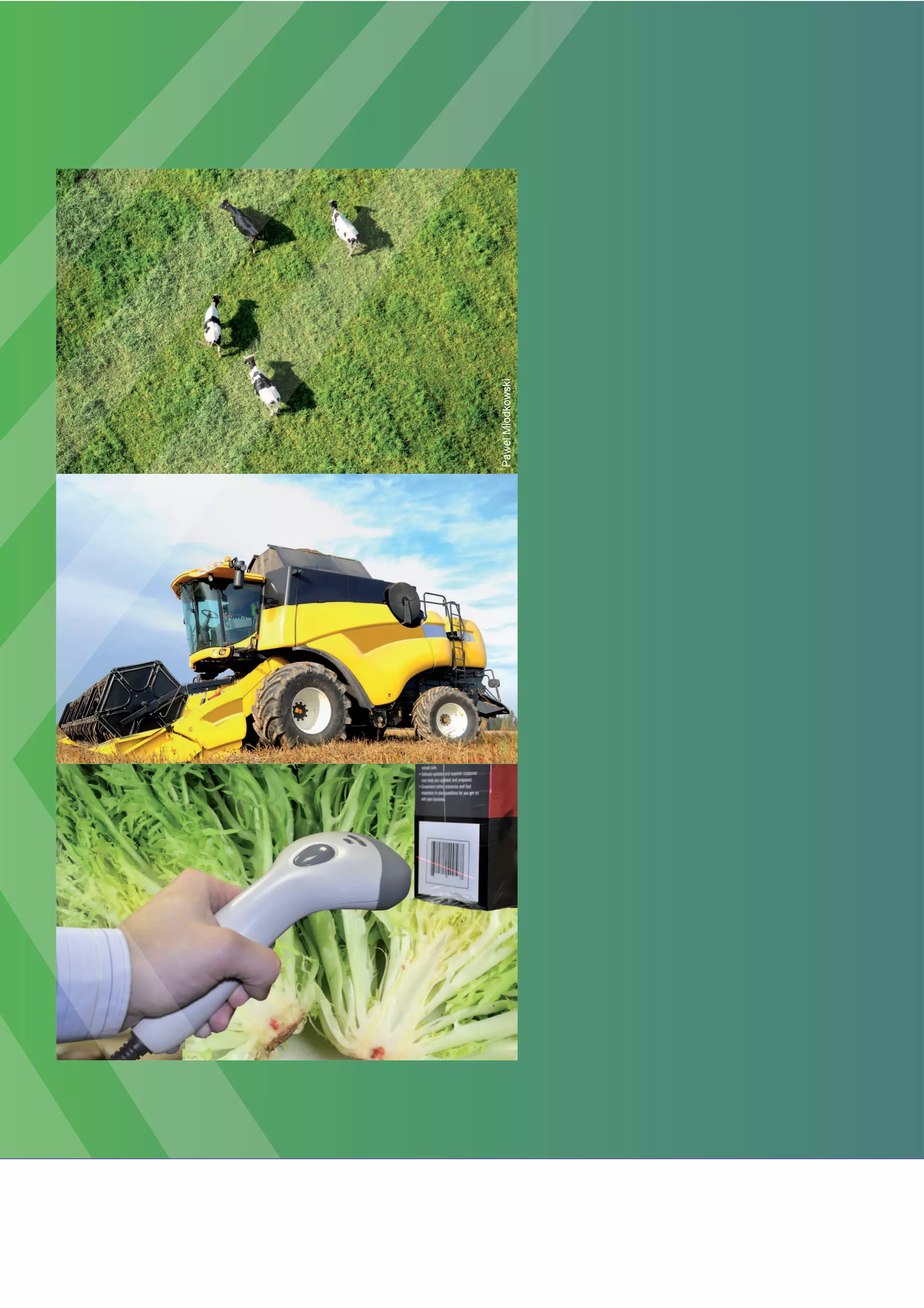 D5.2 agri xchange final sra_final