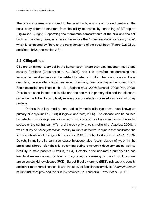 Master thesis 2007