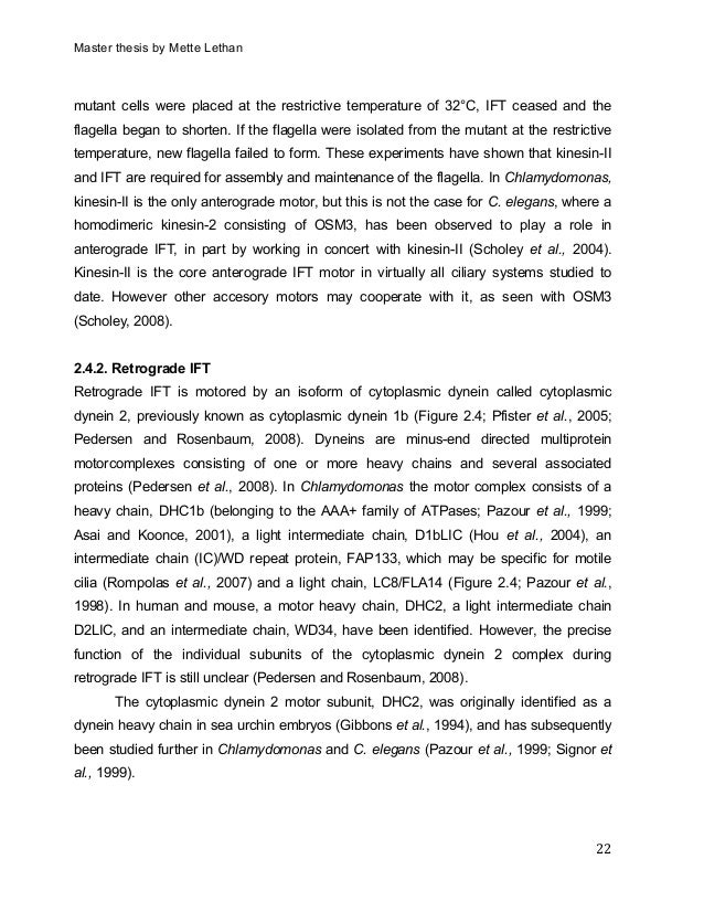 Master thesis 2008