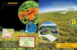 14 • UWM alumni Fall 2014 Fall 2014 UWM alumni • 15
UWM MONARCH
CONSERVANCY
“I conducted research on distribution patterns and survivorship of
monarch butterflies at the UWM Field Station. The biologically diverse
and significant property provided an incredibly stimulating learning
environment, further enhanced by the lab facilities, encouragement and
opportunities for engagement with Field Station staff and other students.
My career at the Milwaukee Public Museum is directly related to the
research I pursued at the Field Station”
- Susan (Sullivan) Borkin
	 Head of Natural Sciences  Curator,
Invertebrate Zoology
Milwaukee Public Museum
This Page, Main Photo: Cedarburg Bog contains the southern-most
string bog in North America.
Small Circle: Black-eyed Susans are among abundant wildflowers
in the Cedarburg Bog area.
Big Circle: UWM’s Field Station, used extensively for teaching and
research, is the base camp for all the University’s natural spaces.
UWM MONARCH
CONSERVANCY
Like the monarch butterflies that rest en masse on the area’s
huge sycamore during their southern migration, the UWM
Monarch Conservancy at Innovation Campus is undergoing a
metamorphosis. While still in its infancy, plans are to turn 11 acres
of the former Milwaukee County grounds in Wauwatosa into lush
prairie — a peaceful, natural refuge for these graceful creatures
and other desirable plants and wildlife.
Dave Gilbert, Innovation Campus executive director, says
collaboration has been key as UWM works with a local group of
naturists, Friends of the Monarch Trail, to revamp the site. “The
discussion between UWM and the citizen group is making the
entire campus development even more ecofriendly,” Gilbert says.
“The early phase of the project has been to get the invasive
species under control,” says James Reinartz, UWM Field Station
director and the University’s conservation consultant at Innovation
Park. “Last year, we planted the first prairie, which is just now
establishing itself.”
“It’s a work in progress, aimed at protecting these fragile butterflies,”
says Barb Agnew, founder of Friends of the Monarch Trail. While she
says the monarchs have become the symbolic reason for restoring and
protecting the land, she and Reinartz emphasize that improvements will
ultimately benefit all resident wildlife and plant communities, and purposefully
restore a much-needed natural space.
“There are people who really valued the open aspect of the former Milwaukee
County grounds,” Reinartz explains. “It was viewed as essentially park land and was
valuable for people to walk their dogs and provide a resting place for the monarchs. The
concerns of these residents set the target for what UWM is doing here. We are committed
to making this a beautiful natural area — better than it was before.”
This Page, Top Circle: Monarchs fuel up on nectar from butterfly milkweed
at the UWM Monarch Conservancy.
Bottom Circle: A lower limb of the sycamore tree still brings in a tiny
grouping of monarchs (photo taken before development began on the
County Grounds.)
Map Inset: The Monarch Conservancy at UWM’s Innovation Campus in
Wauwatosa, Wis.
Bottom Photo: UWM is collaborating with local citizens to protect this
unique habitat for monarch butterflies.
Watch a day in the life of the UWM Field Station
unfold before your eyes in the latest UWM
Spotlight on Excellence video, now playing at
vimeo.com/uwmilwaukee/wildatuwm
 