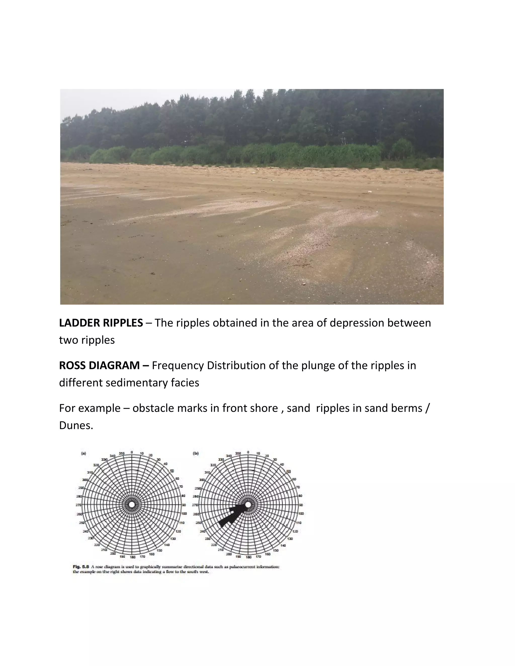 LADDER RIPPLES – The ripples obtained in the area of depression between
two ripples
ROSS DIAGRAM – Frequency Distribution of the plunge of the ripples in
different sedimentary facies
For example – obstacle marks in front shore , sand ripples in sand berms /
Dunes.
 