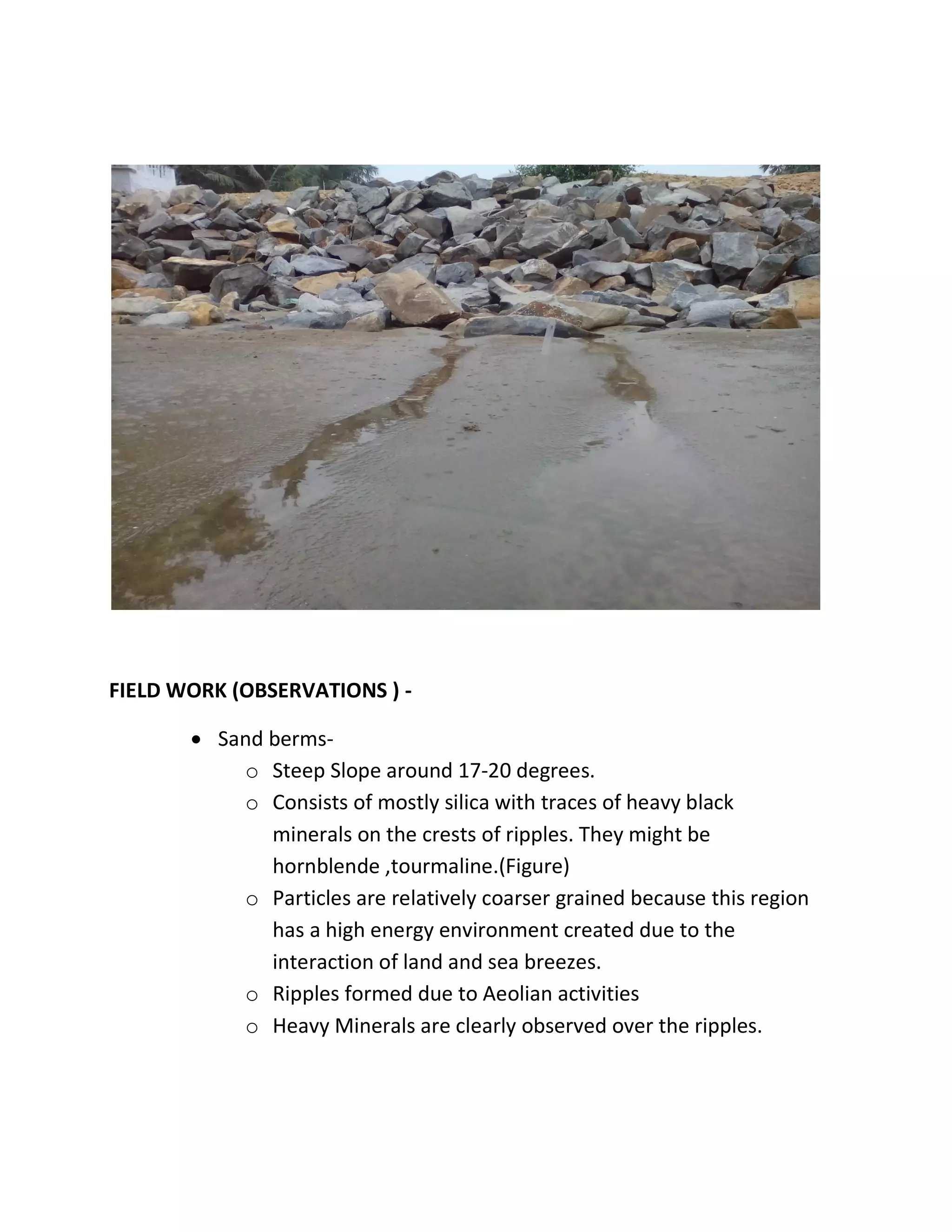 FIELD WORK (OBSERVATIONS ) -
 Sand berms-
o Steep Slope around 17-20 degrees.
o Consists of mostly silica with traces of heavy black
minerals on the crests of ripples. They might be
hornblende ,tourmaline.(Figure)
o Particles are relatively coarser grained because this region
has a high energy environment created due to the
interaction of land and sea breezes.
o Ripples formed due to Aeolian activities
o Heavy Minerals are clearly observed over the ripples.
 
