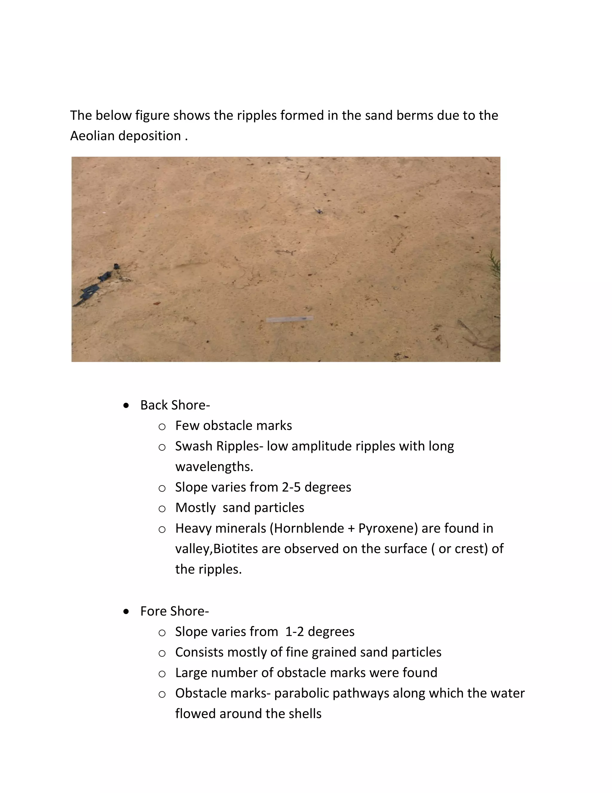 The below figure shows the ripples formed in the sand berms due to the
Aeolian deposition .
 Back Shore-
o Few obstacle marks
o Swash Ripples- low amplitude ripples with long
wavelengths.
o Slope varies from 2-5 degrees
o Mostly sand particles
o Heavy minerals (Hornblende + Pyroxene) are found in
valley,Biotites are observed on the surface ( or crest) of
the ripples.
 Fore Shore-
o Slope varies from 1-2 degrees
o Consists mostly of fine grained sand particles
o Large number of obstacle marks were found
o Obstacle marks- parabolic pathways along which the water
flowed around the shells
 