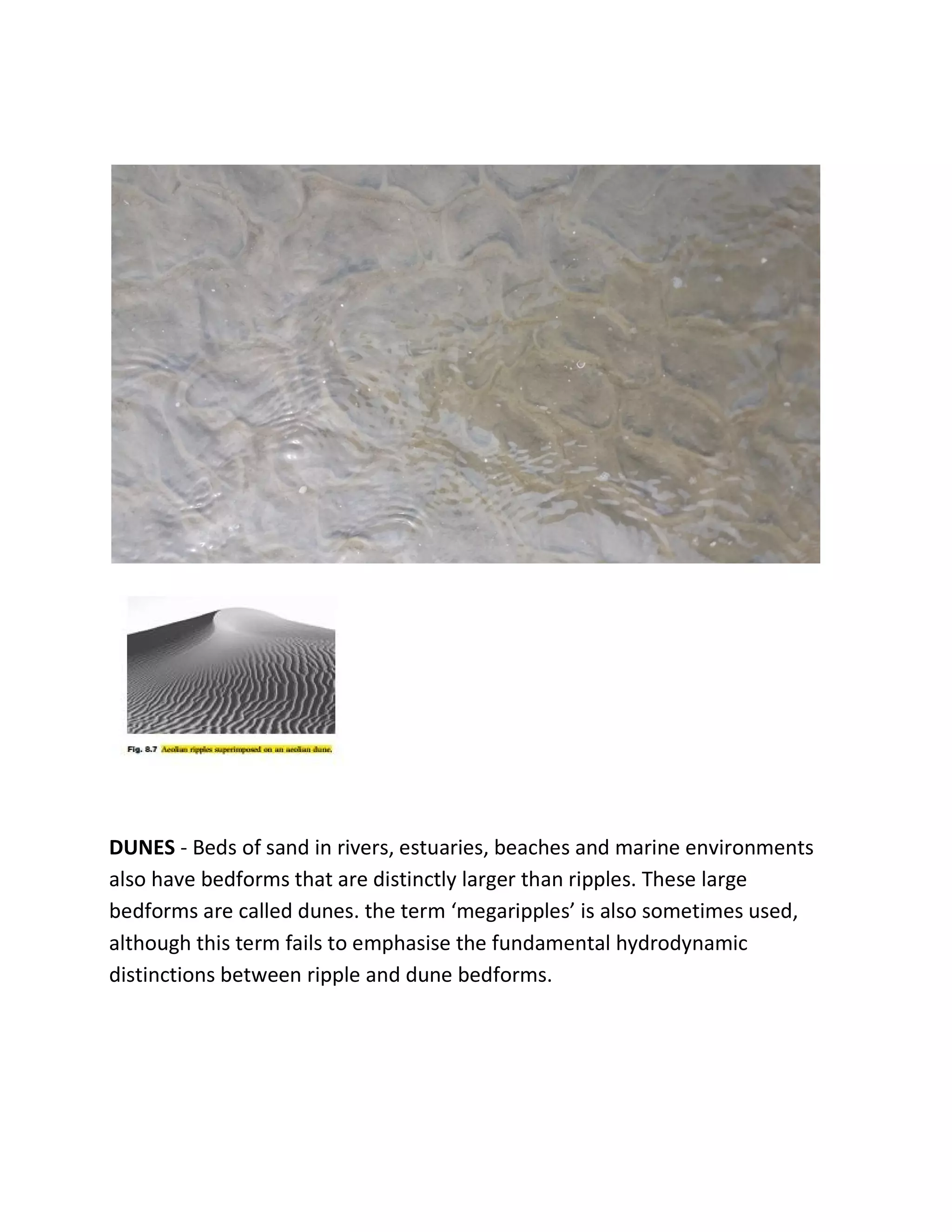 DUNES - Beds of sand in rivers, estuaries, beaches and marine environments
also have bedforms that are distinctly larger than ripples. These large
bedforms are called dunes. the term ‘megaripples’ is also sometimes used,
although this term fails to emphasise the fundamental hydrodynamic
distinctions between ripple and dune bedforms.
 