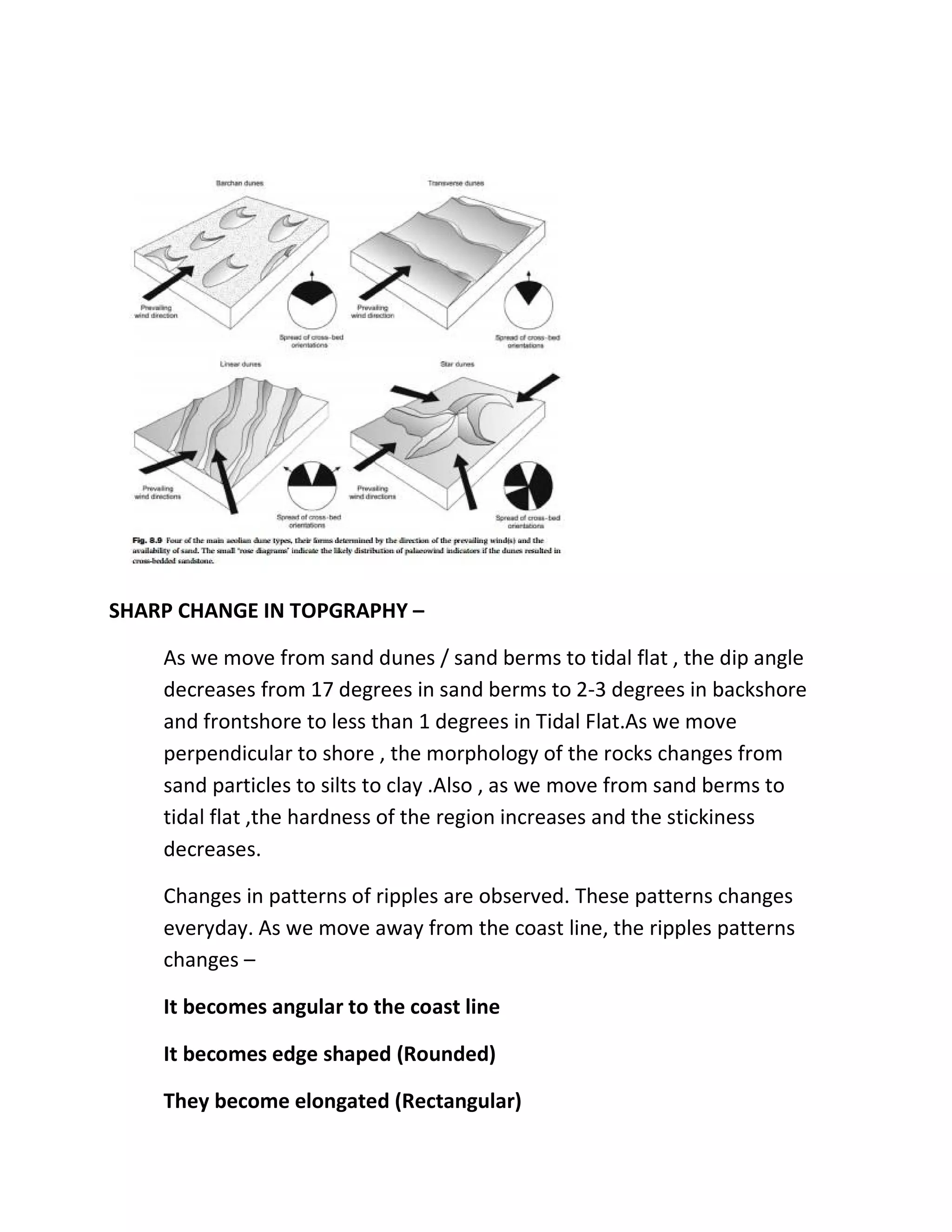 SHARP CHANGE IN TOPGRAPHY –
As we move from sand dunes / sand berms to tidal flat , the dip angle
decreases from 17 degrees in sand berms to 2-3 degrees in backshore
and frontshore to less than 1 degrees in Tidal Flat.As we move
perpendicular to shore , the morphology of the rocks changes from
sand particles to silts to clay .Also , as we move from sand berms to
tidal flat ,the hardness of the region increases and the stickiness
decreases.
Changes in patterns of ripples are observed. These patterns changes
everyday. As we move away from the coast line, the ripples patterns
changes –
It becomes angular to the coast line
It becomes edge shaped (Rounded)
They become elongated (Rectangular)
 