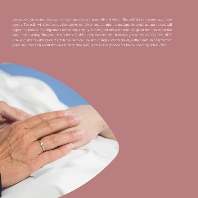 POST MORTEM CARE engels