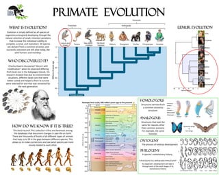 Primate Evolution
WHAT IS EVOLUTION?
Evolution is simply defined as all species of
organisms arising and developing through the
natural selection of small, inherited variations
that increase the individual's ability to
compete, survive, and reproduce. All species
are derived from a common ancestor, and
successful ancestors are still alive today, like
with humans and monkeys.
Who discovered it?
Charles Dawrin discovered “decent with
modification” when he observed differing
finch beak size in the Galapagos Islands. His
research showed that due to environmental
situations, different beak sizes that were
better suited and helped a finch to survive
were selected for and that trait remained for
the next generation.
How do we know if it is true?
The fossil record! This collection is first and foremost among
the databases that document changes in past life on Earth.
There are thousands of fossils of all different types of animals
that help us to fill in the gaps between different species. This
allows us to make connections and see what species are more
closely related to each other.
Homologous
Analogous
Structures derived from
a common ancestral
structure.
Structures that look the
same for reasons other
than common ancestry.
For example, the same
function.
butterfly wings
vs
bat wings
Ontogeny
The process of embryo development.
Phylogeny
A species’ evolutionary history.
“Ontogeny Recapitulates Phylogeny”
An organism’s development will take it
through each of the adult stages of its
evolutionary history
Lemur evolution
 