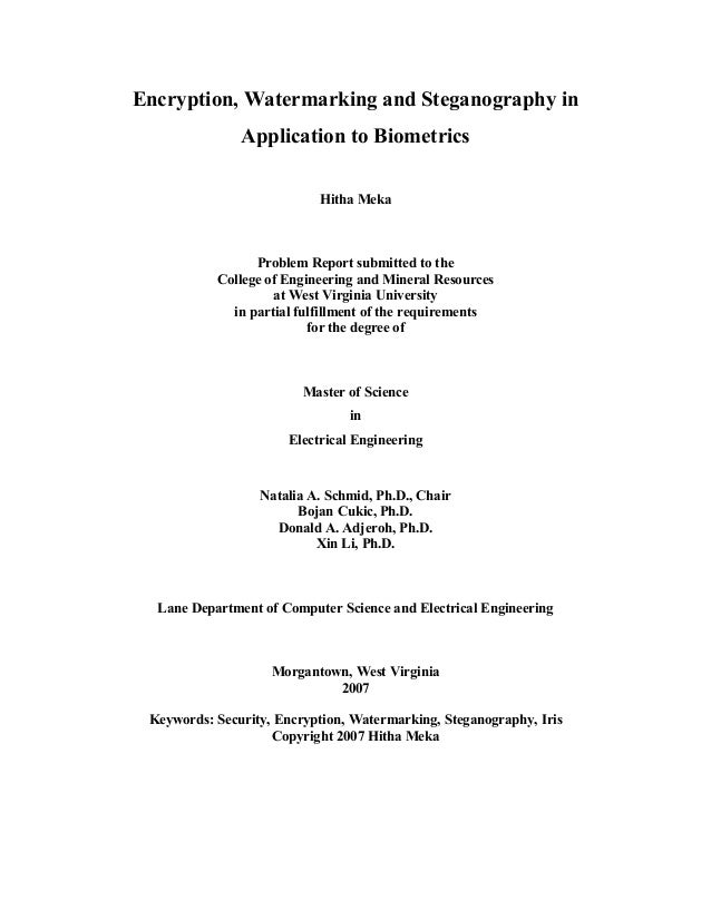 Master thesis on steganography