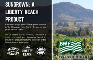 Sungrown: A
Liberty Reach
Product
SunGrown is high quality flower grown outdoor
in the Okanagan High Country by one of our
prized partner farms.
Like all Liberty Reach products, SunGrown is
cured, processed and thoroughly tested to
ensure the product meets the standards of the
Clean Cannabis Association.
w w w. M Y l i b e r t y r e a c h . c o m
SUNG
ROWN CANNABIS
L I B E R T Y R E
A
CH
SUNGROWN
 