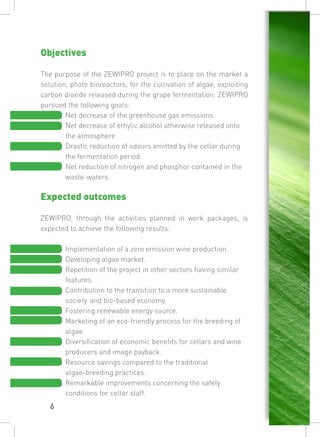 Layman Report Example ZEWIPRO Layman's report | PDF