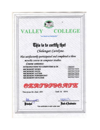 Valley college