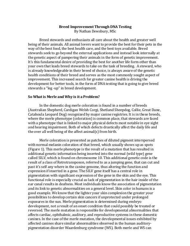 merle genetic testing