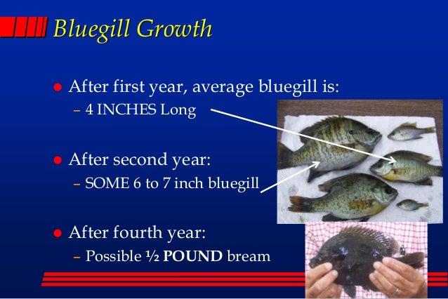 Fish Pond Management and Aquaculture 17