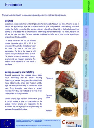 European guideline for quality of live crustaceans in retail and HORECA ...